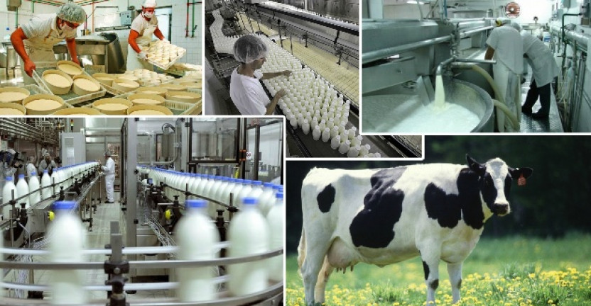 Нижегородстат зафиксировал рост производства молока